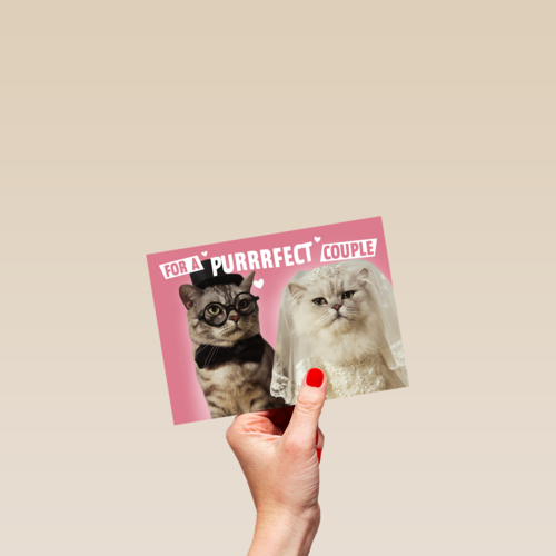 for a purrrfect couple