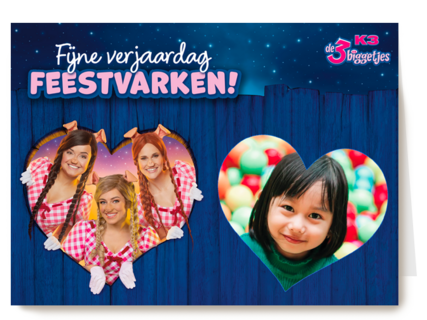 Feestvarken K3 de 3 biggetjes