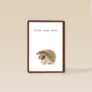 Sterkte kaart Furry Cuddles egeltje