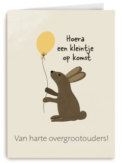 Zwangerschap Hoera Een Kleintje Op Komst