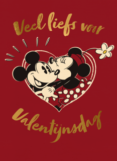 Valentijn Mickey Minnie Veel Liefst