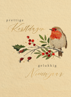 Fijne kerstdagen roodborstje