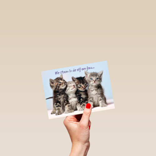 Kittens