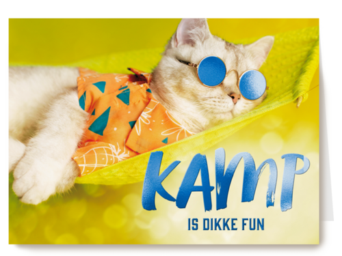Kamp is dikke fun kat