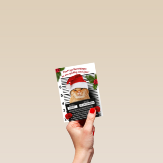 Prettige Kerstdagen Kat Met Kerstmuts