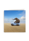 olifant in auto