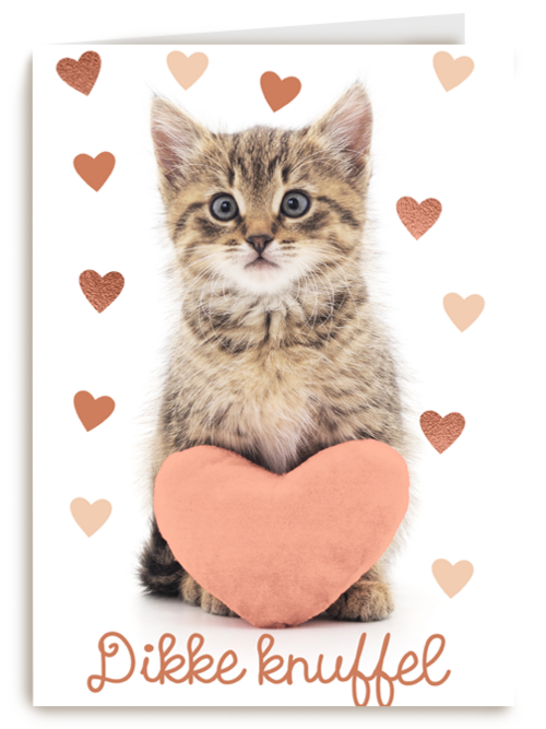 Liefde kaart kat met hart en dikke knuffel