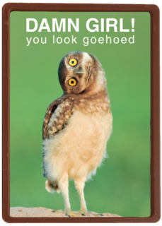 damn girl you look goehoed