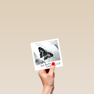 polaroid kaart het leven zo oneerlijk