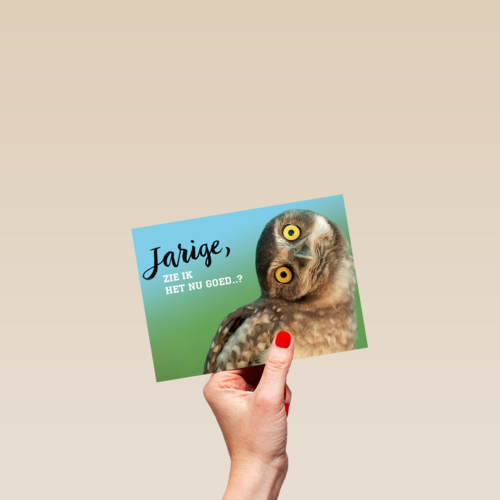 animal fiesta jarige zie ik het nu goed