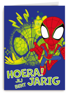 Spidey and friends Hoera
