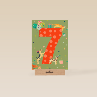 Honden Katten 7 jaar