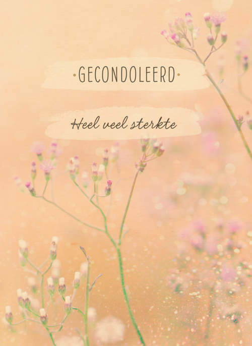 Gecondoleerd Heel veel sterkte