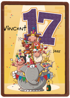 verjaardag leeftijden lorenzo de bruin 17