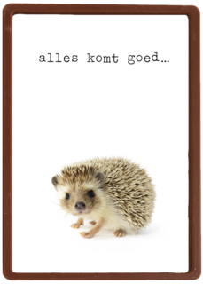 Sterkte kaart Furry Cuddles egeltje