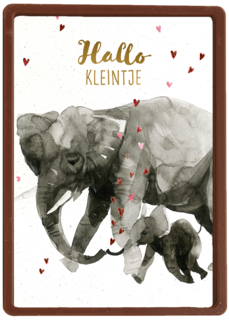 Geboortefelicitatie olifant hallo kleintje