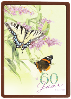 zestig jaar met vlinders