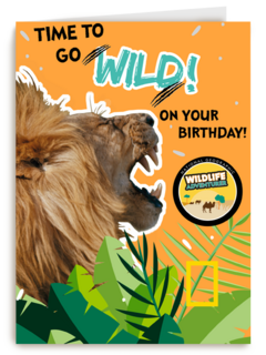 verjaardag kaart time to go wild