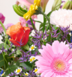 Boeket Bloemen Maxima Luxe