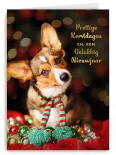 Kerstmis Hond Met Sjaal