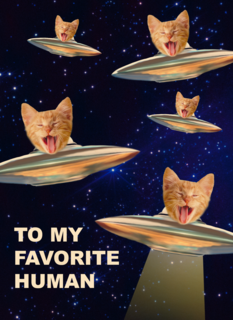 To my favorite human