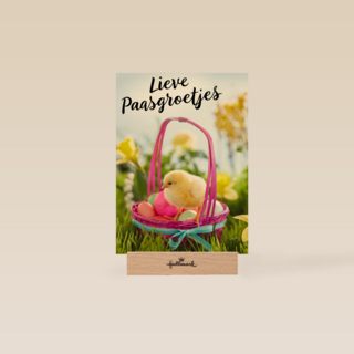 lieve paasgroetjes met mand