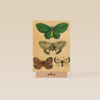 herfst kaart driemaal vlinders