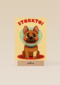 Beterschap Hond Gebroken Poot