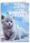 veel liefs voor het nieuwe jaar met deze kitten