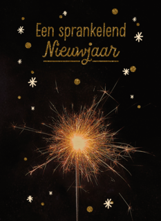 vuurwerk een sprankelend nieuwjaar