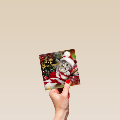 Kerstkaart schattige kat fijne feestdagen