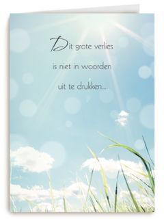 grote verlies woorden uit te drukken