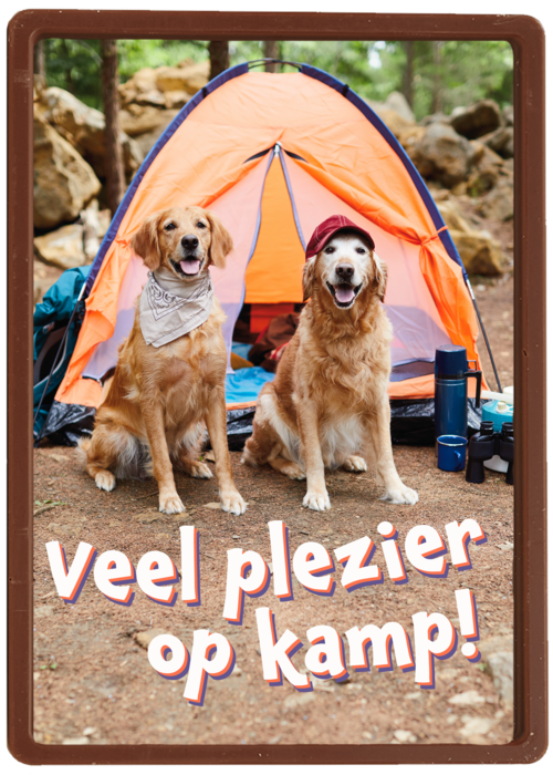 Op kamp kaart 2 honden bij tent