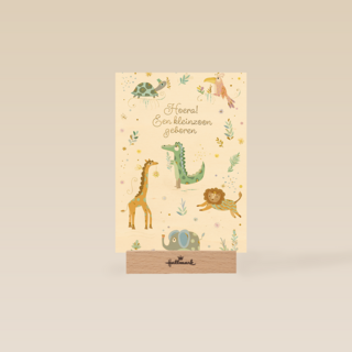 Turnowsky Hoera Kleinzoon geboren