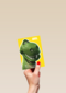 Toy Story verjaardagskaart Rex