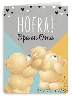 forever friends hoera opa en oma krijgen een kleinzoon