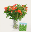Boeket Bloemen Emmanuel met Cote dOr Bouchee