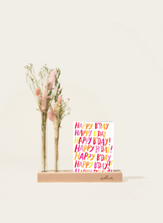 Brievenbuspakket Droogbloemen Roze