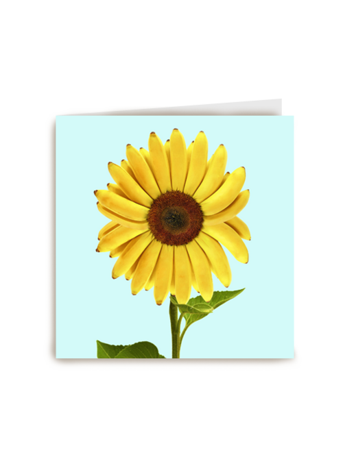 bananezonnebloem