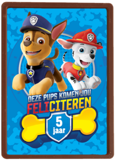 Paw Patrol kaart deze pups komen jou feliciteren