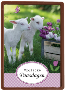 lammetje bloem pasen