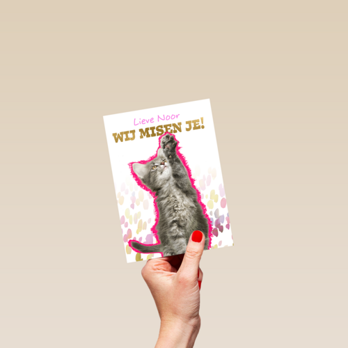 Lieve we missen je kat Op Kamp