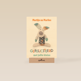 gefeliciteerd knuffel