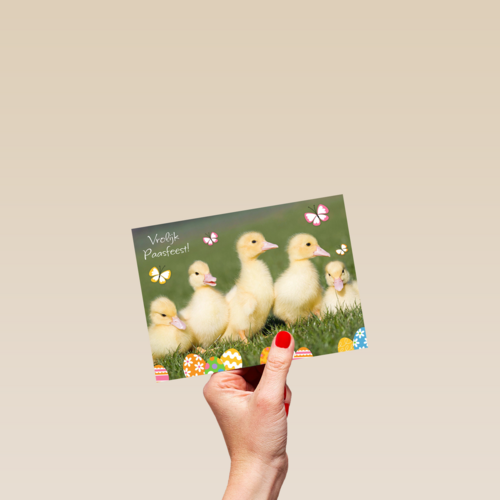 vrolijk passfeest eendjes kaart