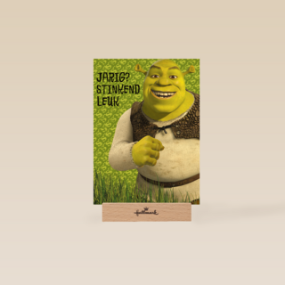 Shrek Jarig Stinkend Leuk