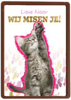 Lieve we missen je kat Op Kamp