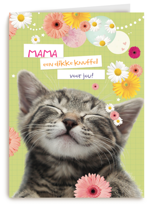 moederdag klassiek een katje voor moederdag