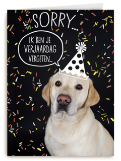 sorry ik ben je verjaardag vergeten