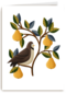 takken met vogel en fruit