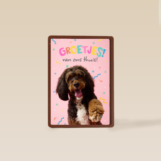 Op Kamp groetjes van thuis hond roze